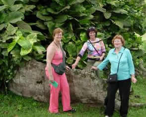 de meiden in de botanische tuin